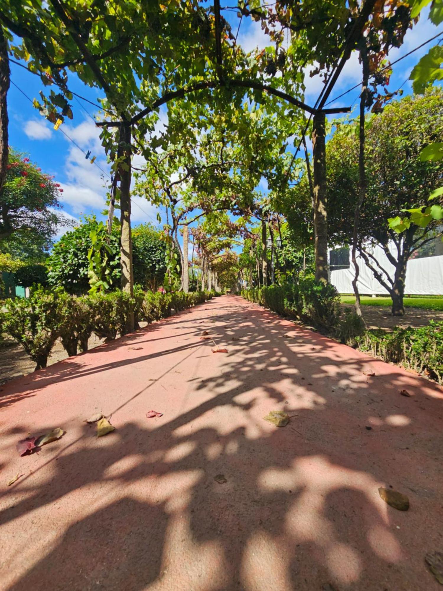 Solar Da Saudade Hotel Landim Exterior photo